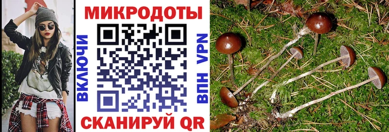 Псилоцибиновые грибы Psilocybe  Купить где  Няндома 